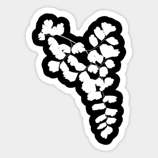 Delicate Plant Leaves Sticker